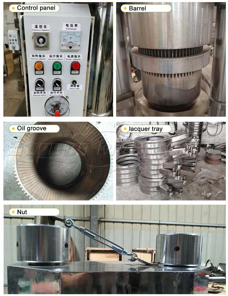 Small Automatic Hydraulic Cold Avocado Palm Sesame Oil Extractor Pressing Olive oil Press Machine