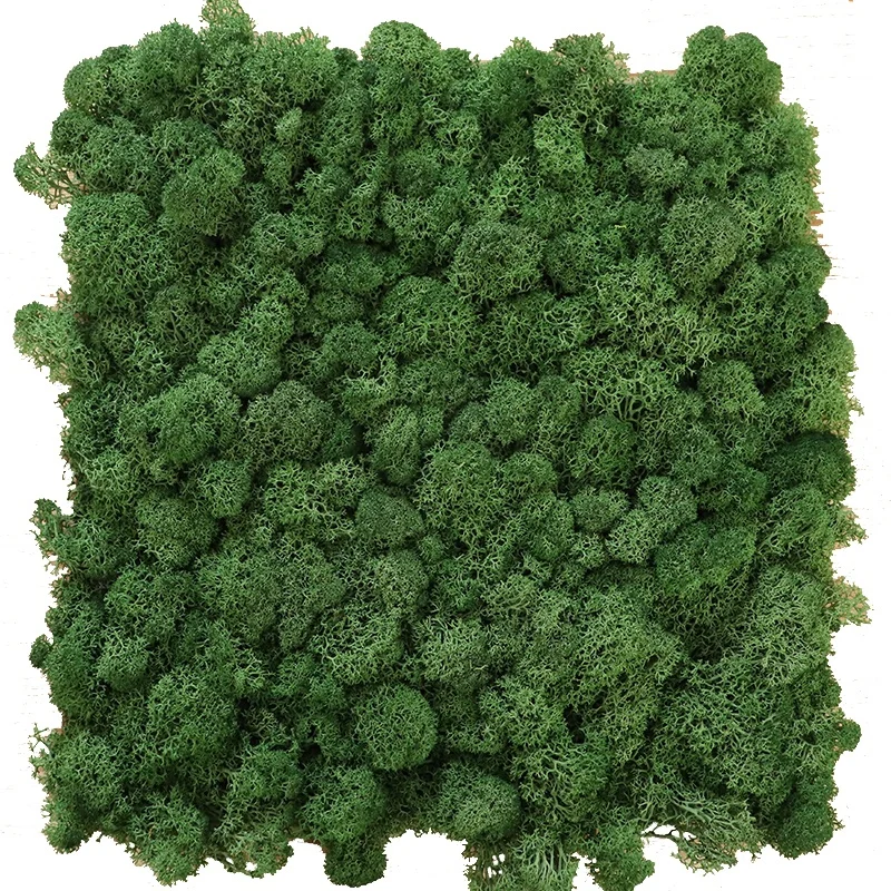 factory wholesale natural preserved reindeer flat moss panel for wall decoration