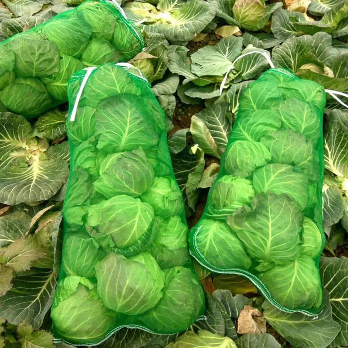 Export to Russia PP Mesh Bag 10KG 25KG 50KG blue Vegetable Fruit Packaging Net Mesh Raschel Mesh Bag with Drawstring