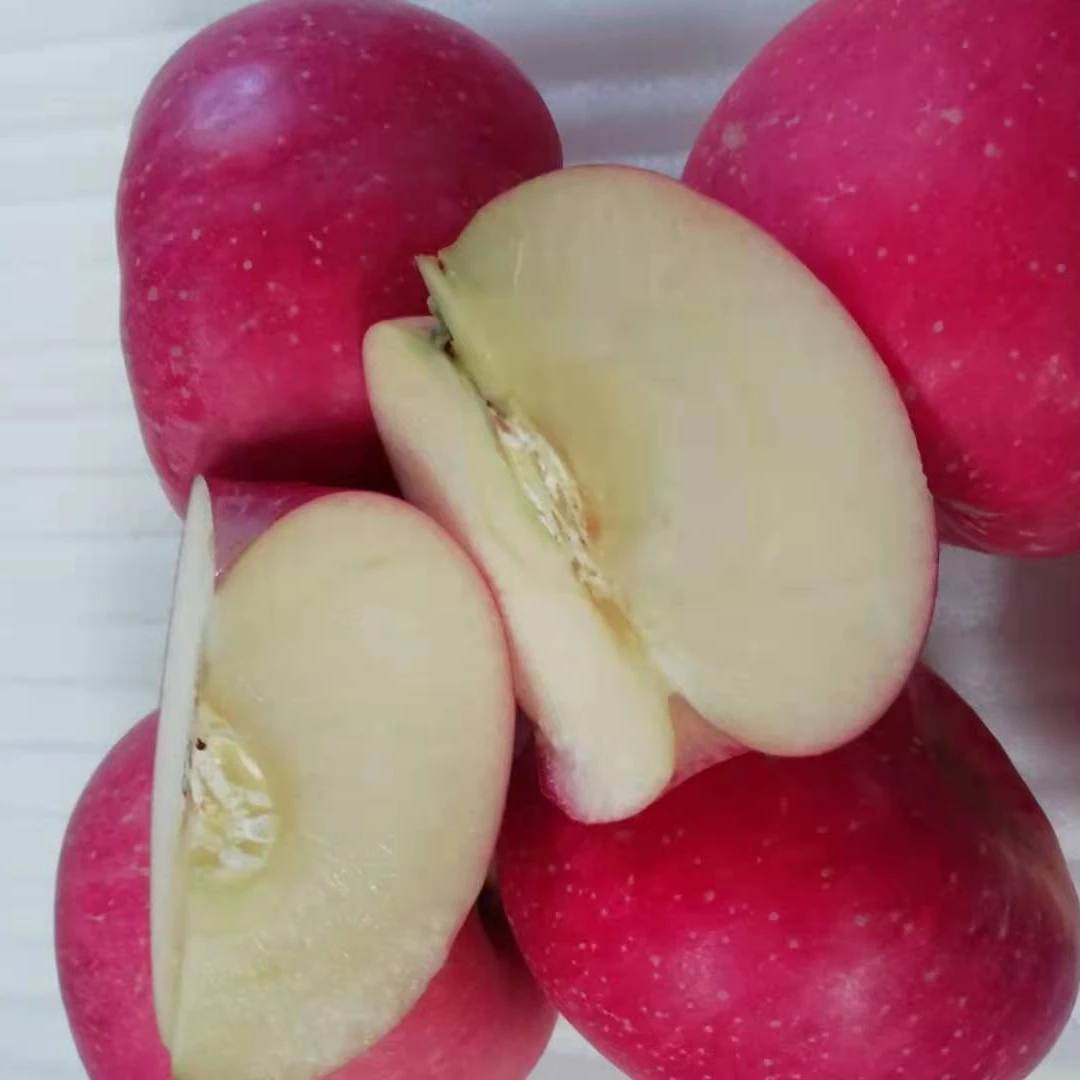 
 Продажа Шаньдун производство свежие яблоки Fuji маленькие размеры  