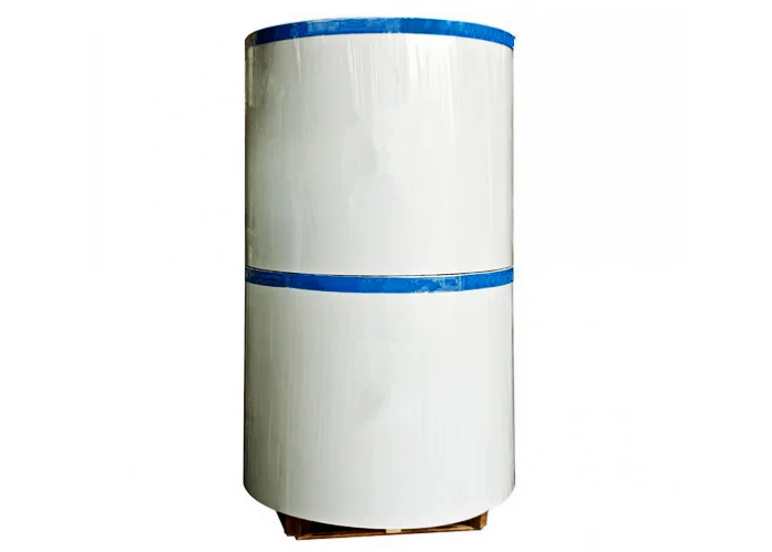 
White Clay Coated Duplex Cardboard Grey Back 