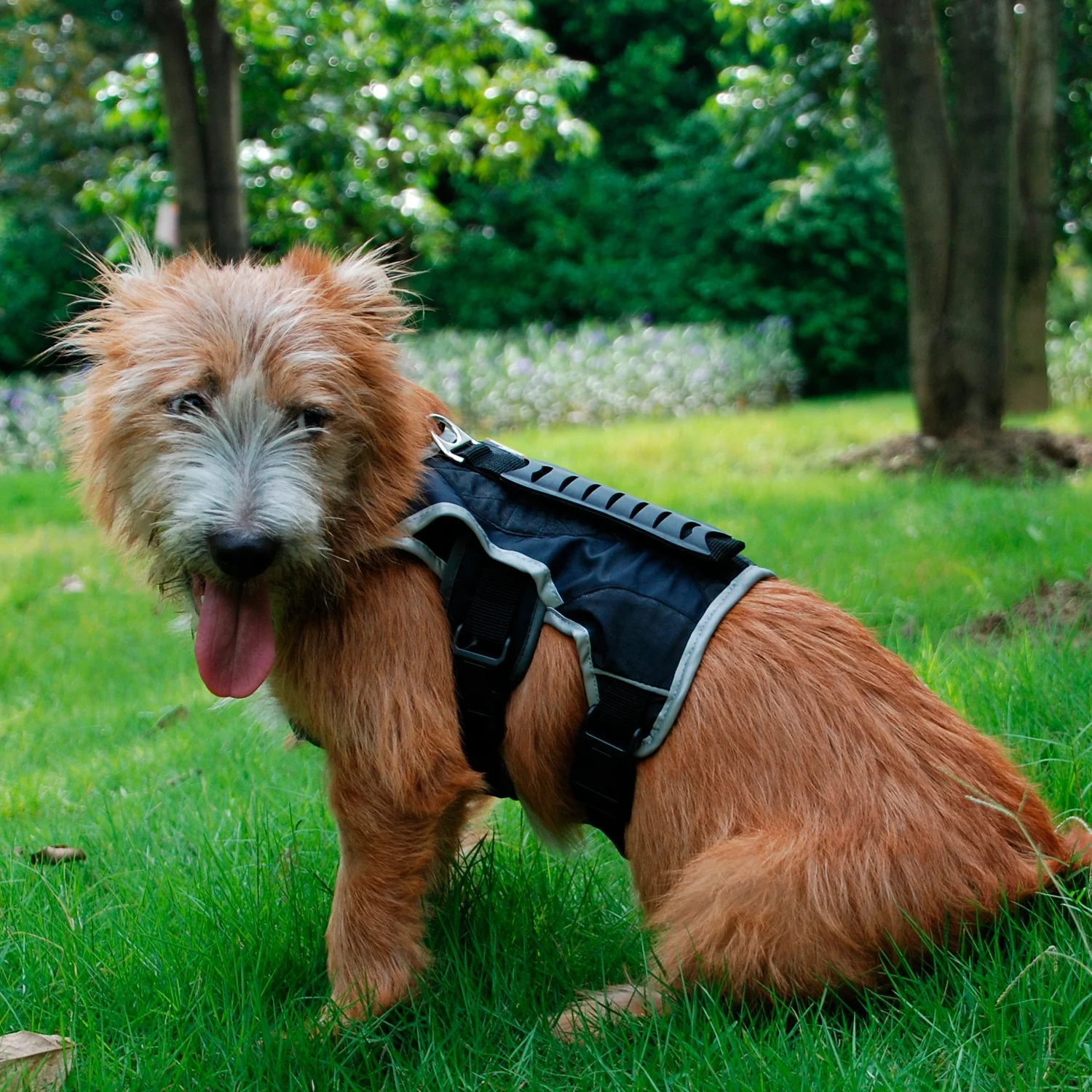 BlackDoggy Pet Apparel Support Dog Harness Vest with Reflectors