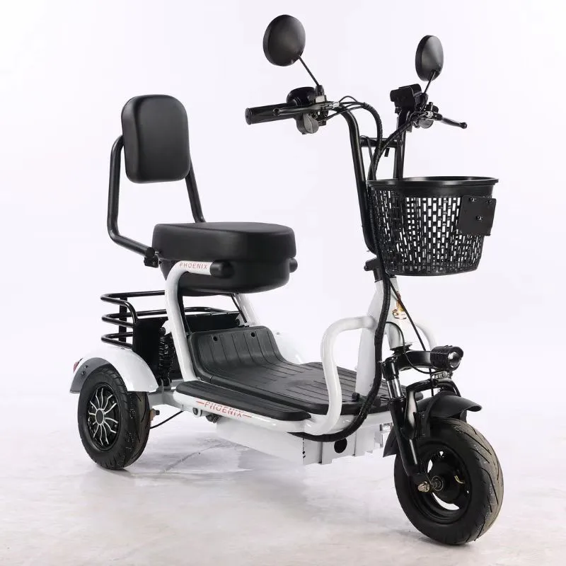 Wholesale Price 500W 48V 20Ah 10 Inch Cargo Electric Bike Sccoter 3 Wheel For Adults electric tricycle