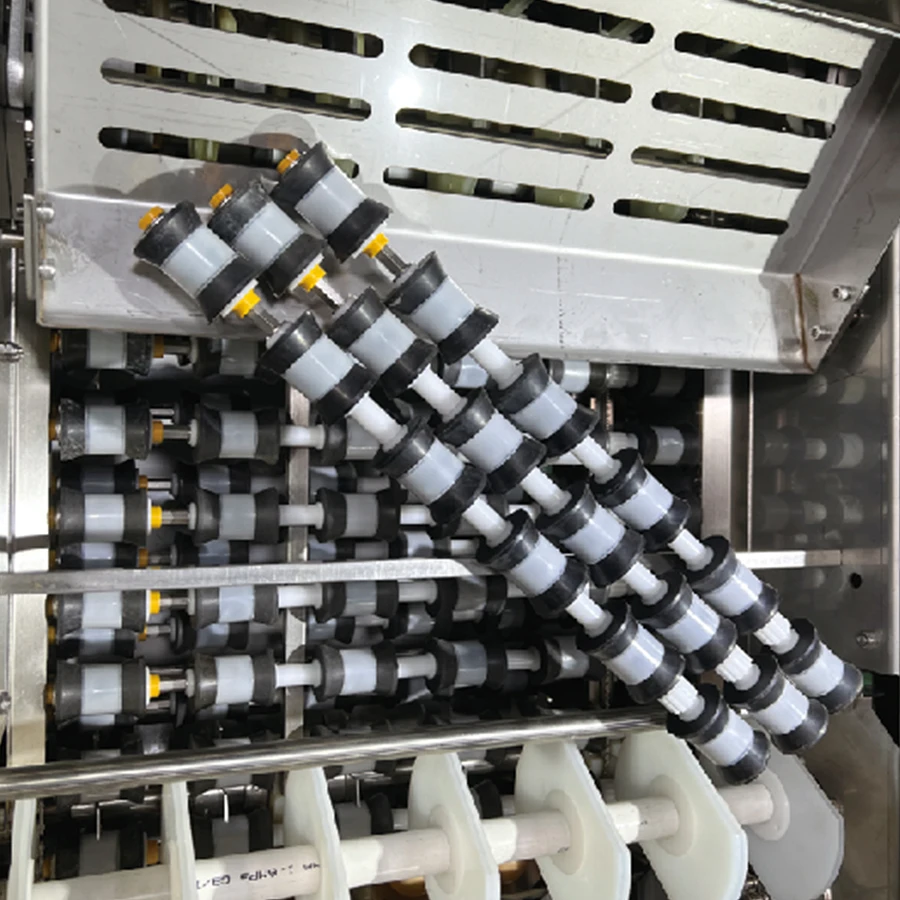 Best Sale Snail Shrimp Egg Sorting Line Automatic Machine Conveyor Belt Grading