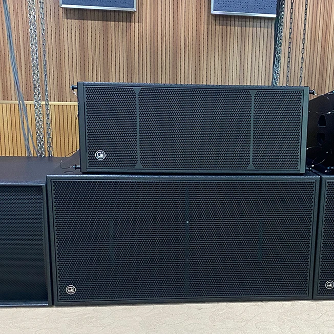 Professional Audio Passive Subwoofer Dual 12 Inch With Built-in Amplifier Module For Speaker System