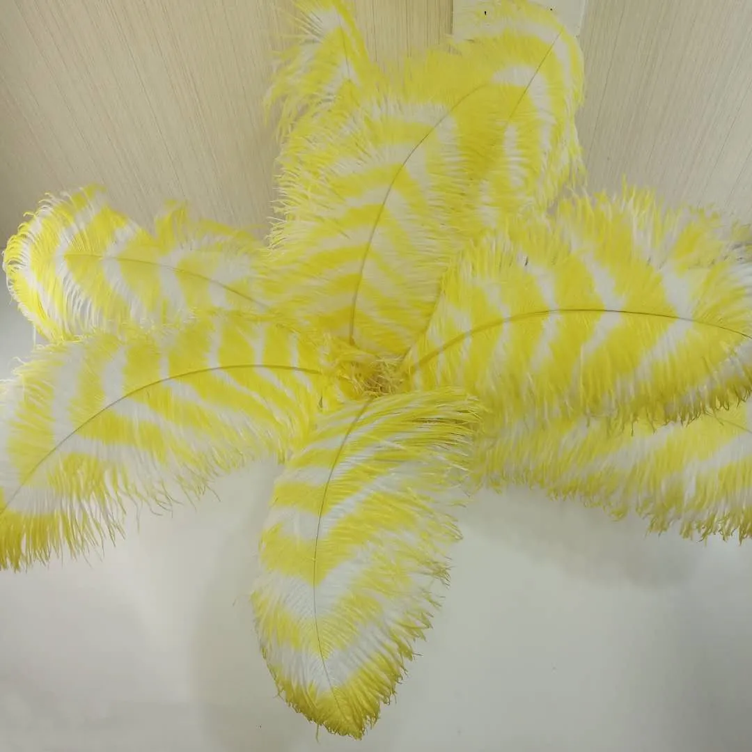 Wholesale trimmed decoration zebra ostrich feathers quill plume for large feather wings costume set