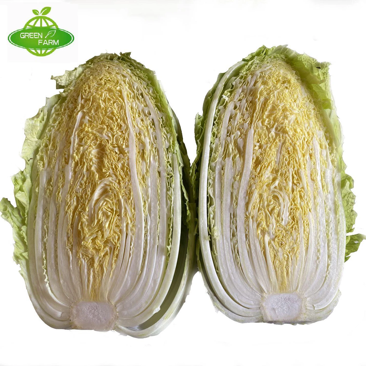 2023 Newest Crop Chinese Fresh cabbage from china