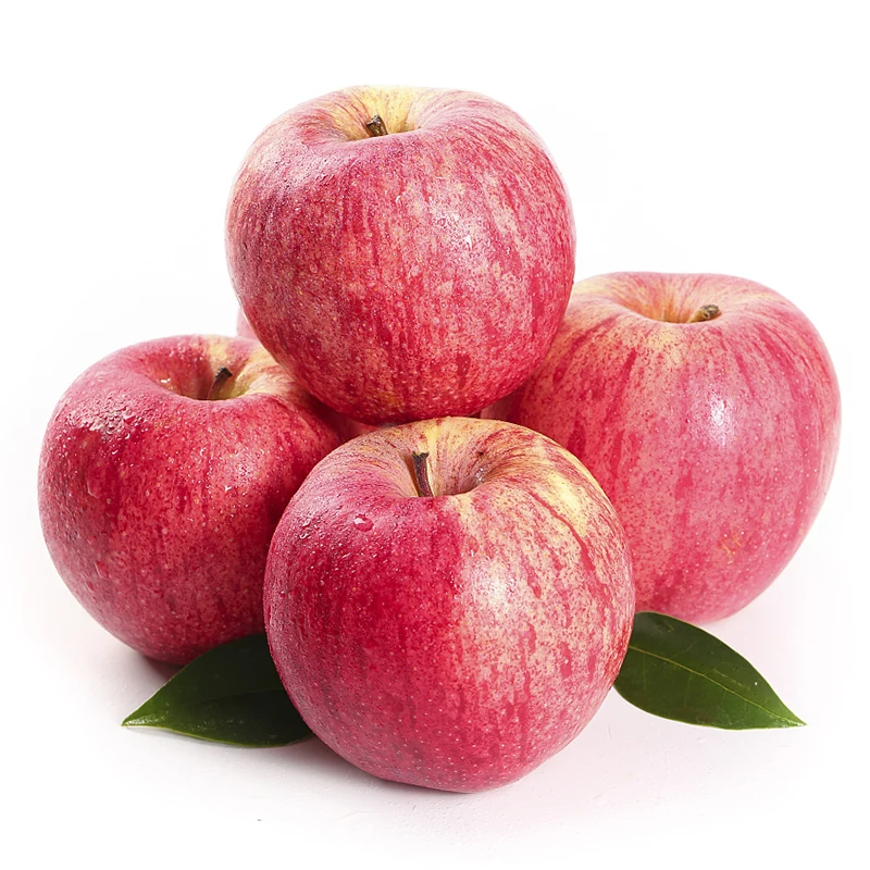 Cheap price exporter fresh rose fuji apple fruit