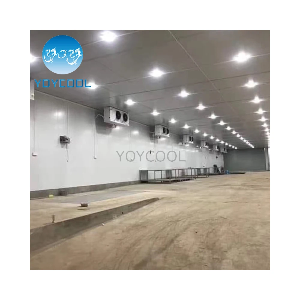 Customized cold room walk in cooler cold storage  cold room milk large cold storage room