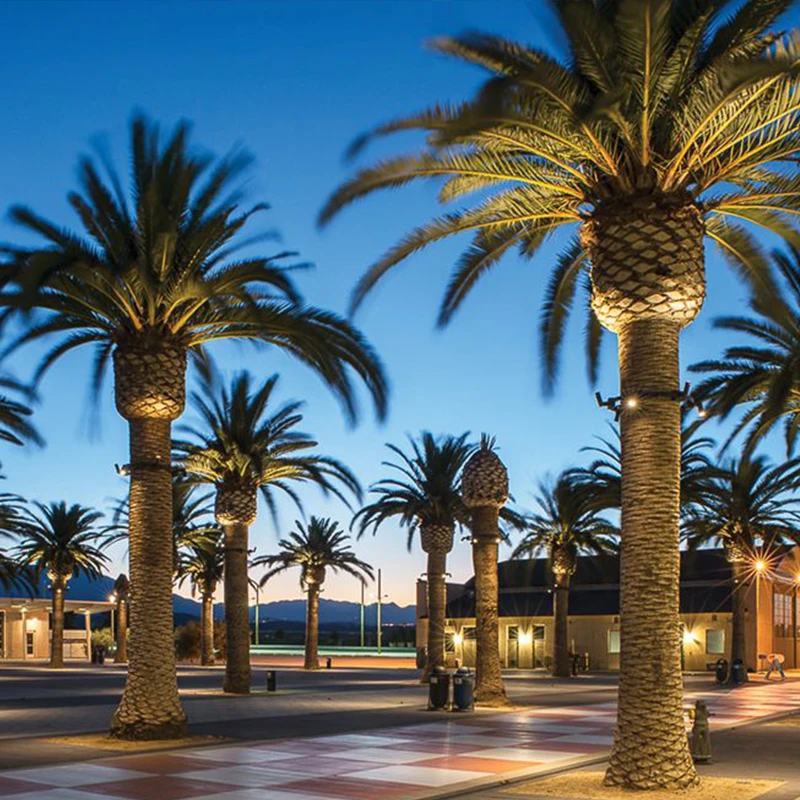 Хорошее качество, алюминиевый корпус, дорожный ландшафтный светильник Ip65 10 Вт 20 Вт, наружный двор, светодиодная садовая лампа