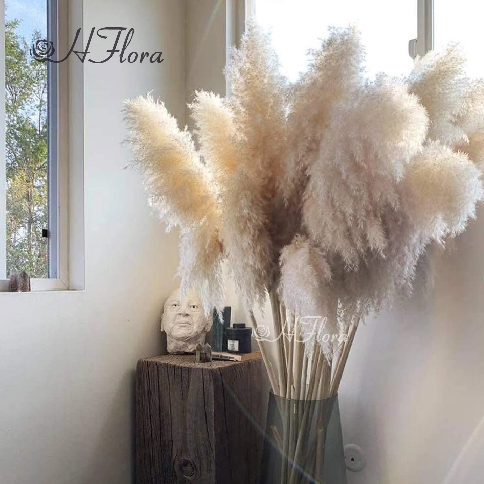 Hflora Natural White High Quality Pampas Grass Flower Bouquet Dried Reeds Large Fluffy Pampas Grass Home Decor