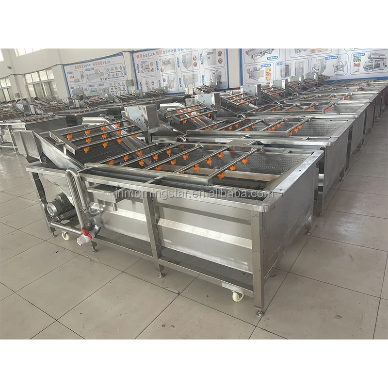 Automatic Olive Kiwi Fruit Vegetable Air Bubble Washer Spinach Peanut Garlic Cleaner Coconut spray bubble rinse Washing Machine