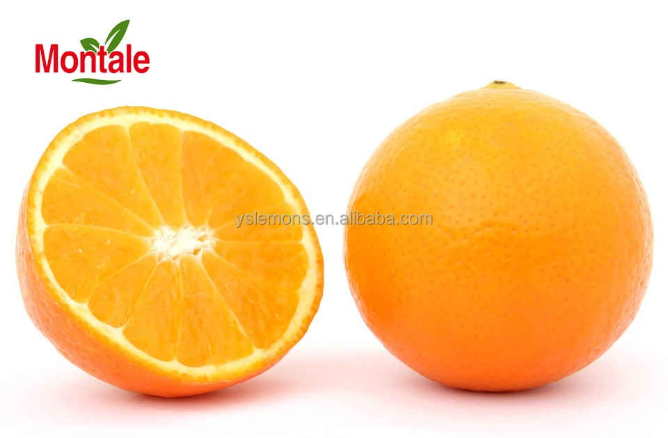 Montale Chinese Wholesale Orange Importer Navel Oranges Fresh Oranges