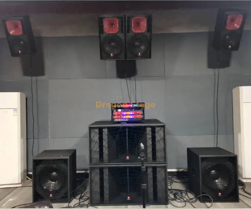 Dragonstage Italy Design Professional Audio Loudspeaker for High Class Pub / Bar
