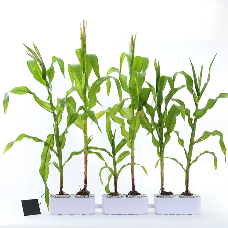 New products hot hydroponic horticulture indoor plant growth strip with hydroponic grow tray for home and garden