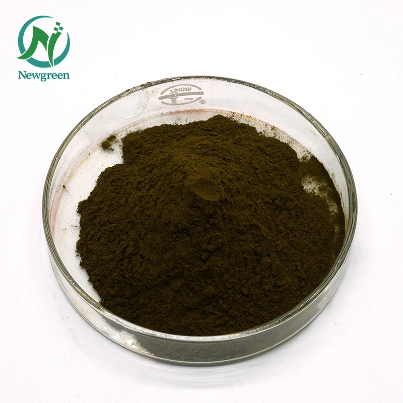 High Protein Organic Chlorella Powder 99% Chlorella
