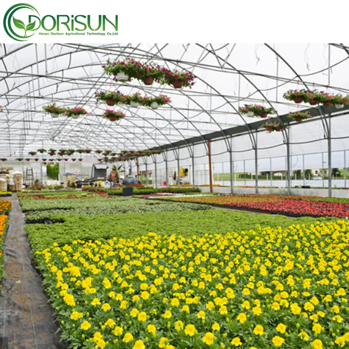 8x30m Agriculture Tomato Greenhouse Frames Plastic Film Single Span Tunnel Greenhouses
