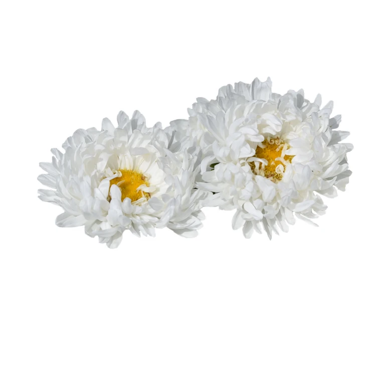 Retail bulk quality Aster seeds Callistephus chinensis flowers Seeds For planting