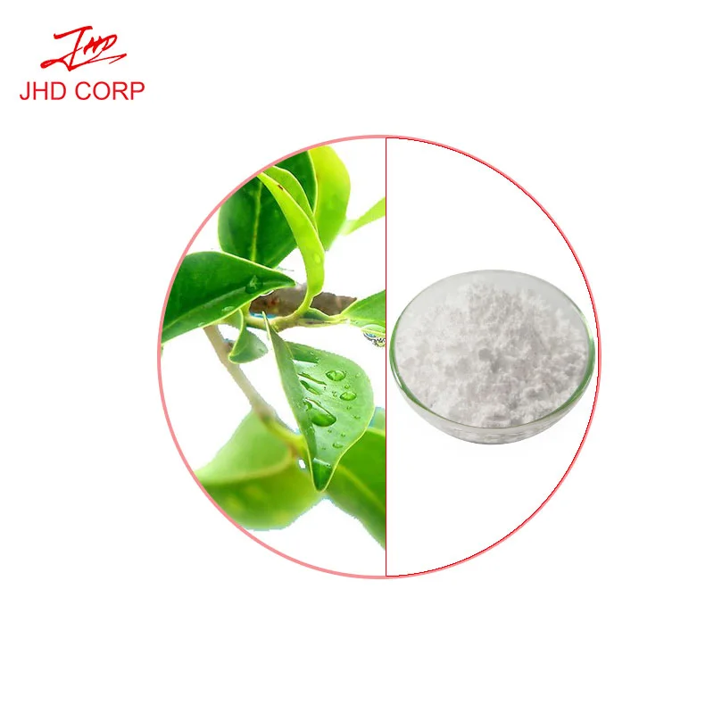  China/Usa/Canada/Germany Warehouse Stocks Supply L Theanine Powder Bulk CAS