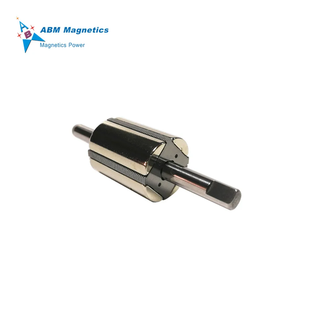High Rpm Water Pump Magnetic Rotor, Fuel Pump Magnetic Rotor, Oil Pump Ndfeb Magnet Industrial Magnet