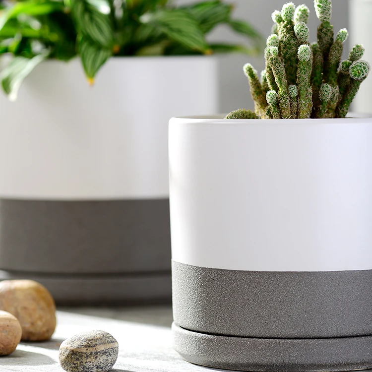 Cheap Desktop Indoor Decorative Potted Plant Pots Planters for Succulent Plants