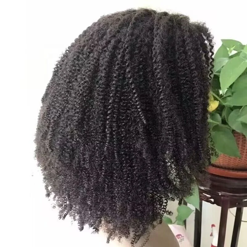 Indian Human Hair Wigs Swiss Transparent HD Glueless Lace Wigs wholesale 180% Afro Kinky Coily 4a 4b 4c Lace Front Wigs