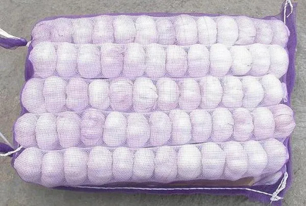 Order Fresh Purple white Garlic 5.5cm 10kg/box with pallet from Sinofarm for buyers in Dubai