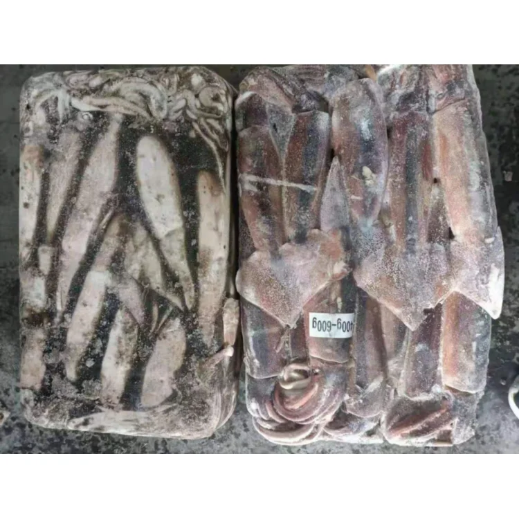 
High quality wholesale price seafrozen seafood Argentina illex squid for restaurant 