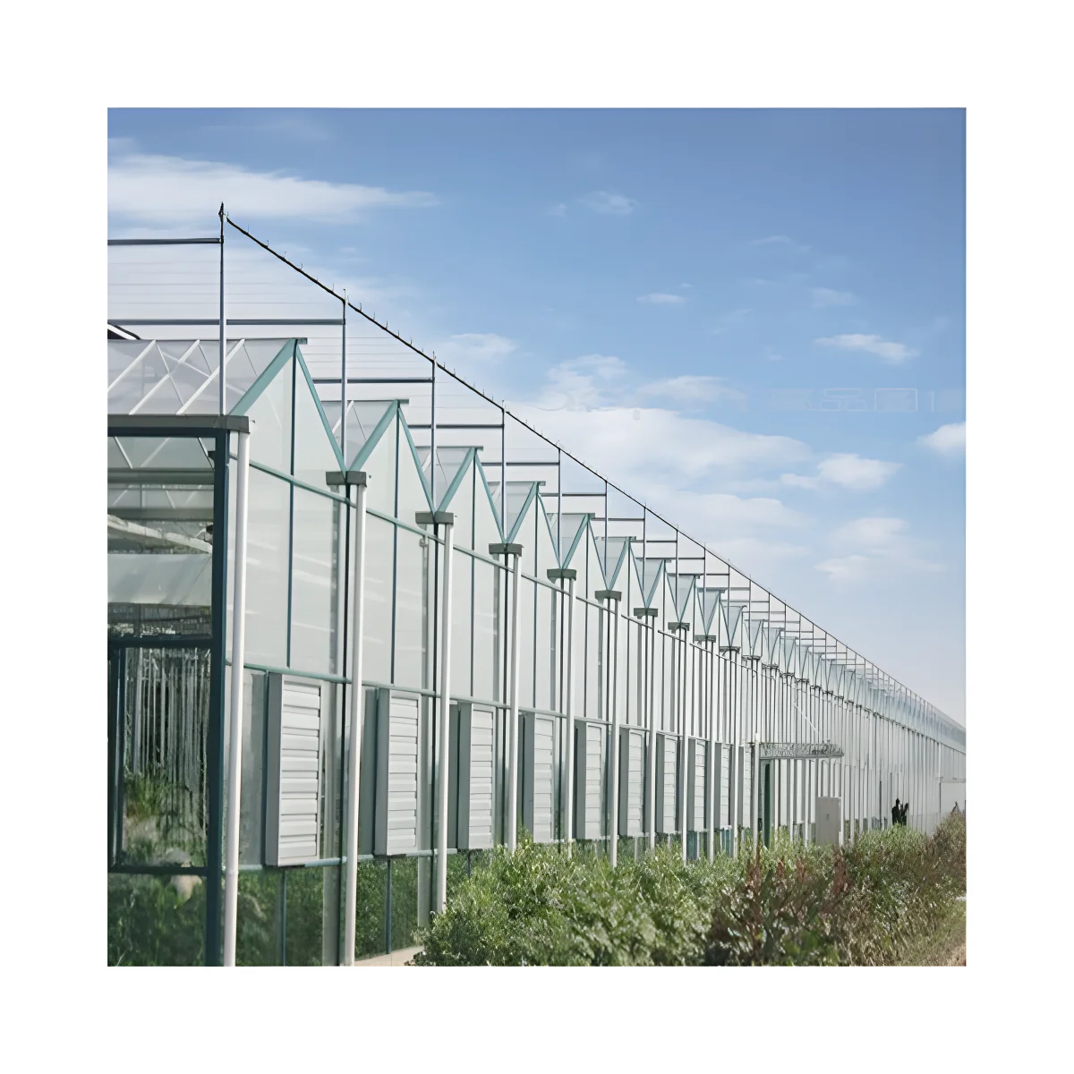 greenhouse outdoor polycarbonate  Large Multi-span Agricultural Sightseeing PC Sheet Green house Drying Room