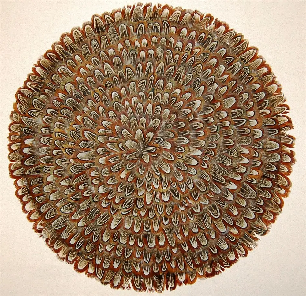 68 Horng Shya ручной работы фазановые перья по разумной цене