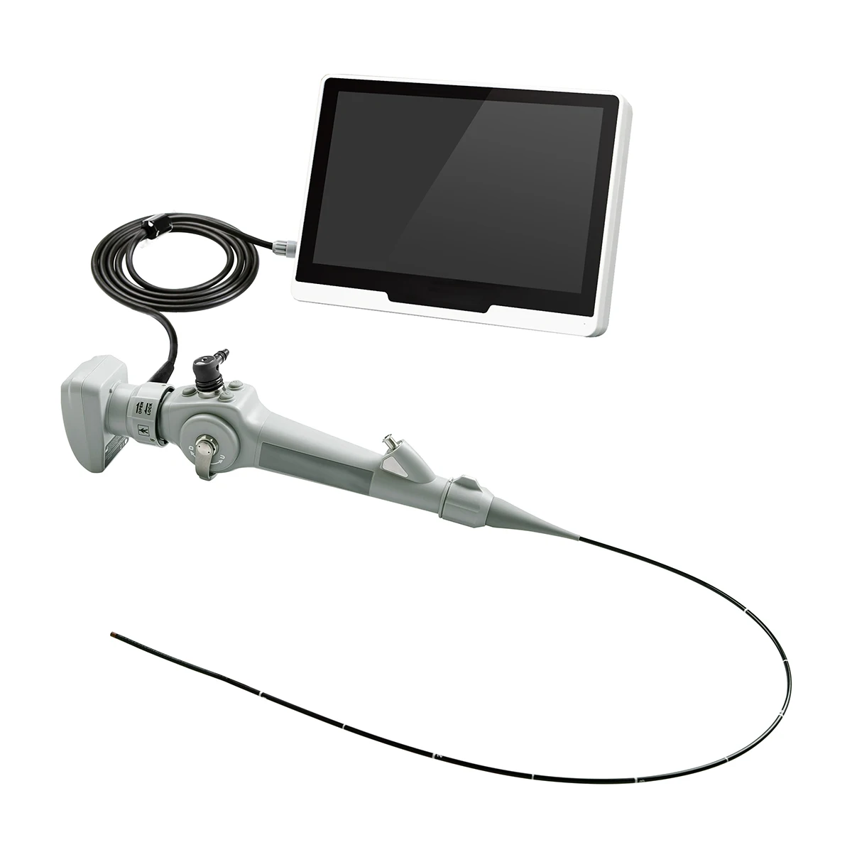 Endoscopy veterinary equipment 10 inch TFT touch screen portable Flexible Endoscope MSLGA285