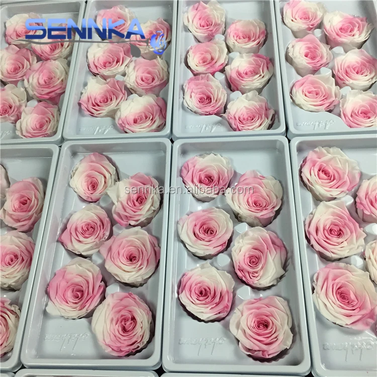 Christmas Smell Fresh Black Rose Real Preserved Flower for Sale