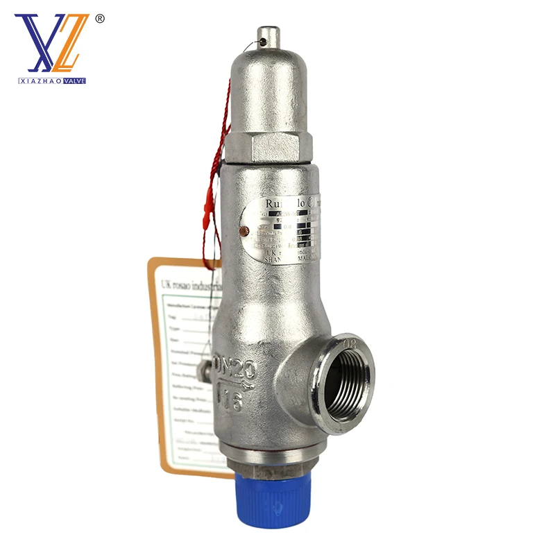 China Manufacturer Spring Safety Valve Stainless Steel high temperature valve 304/316
