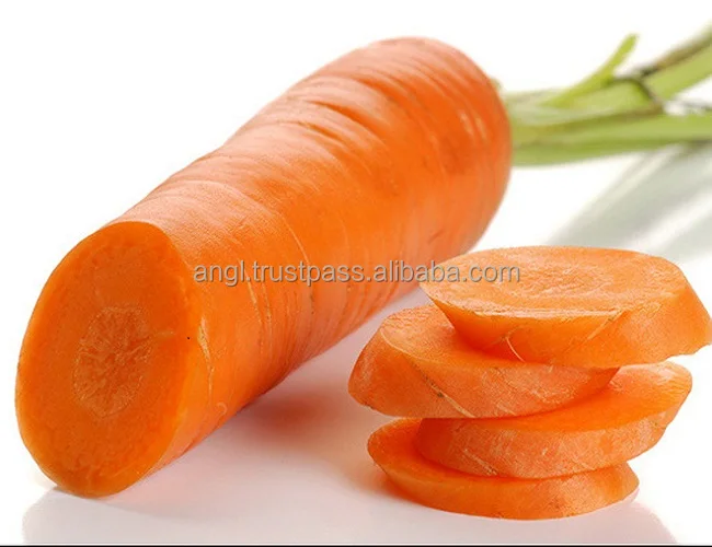 carrot5.jpg