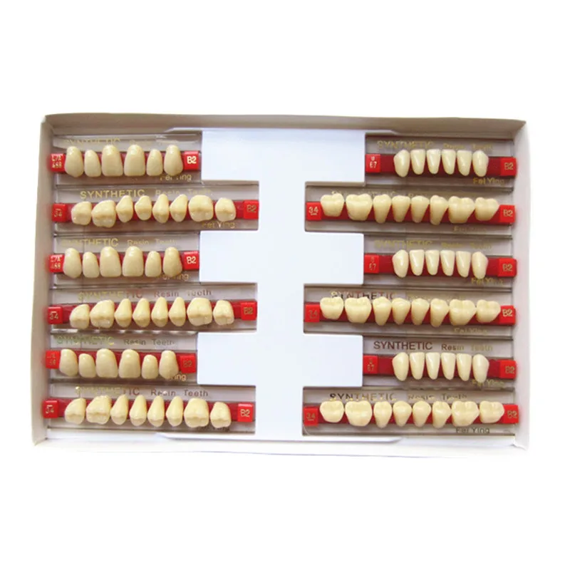 CE, ISO,Composite Artificial Denture Teeth for Wholesale