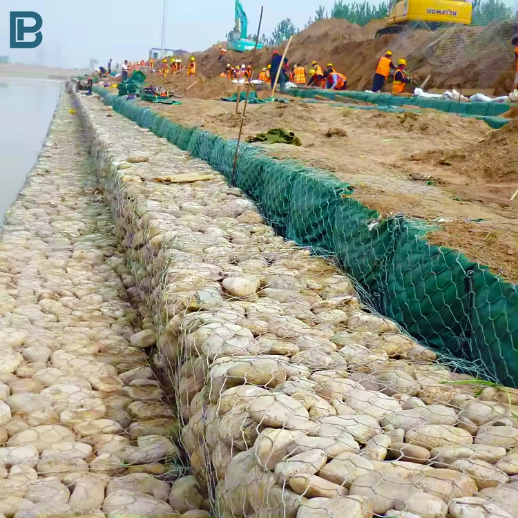 Modern Design Gabion Wire Mesh Box Wholesale Price Galvanized Gabion Box for Outdoor River Bank Protection