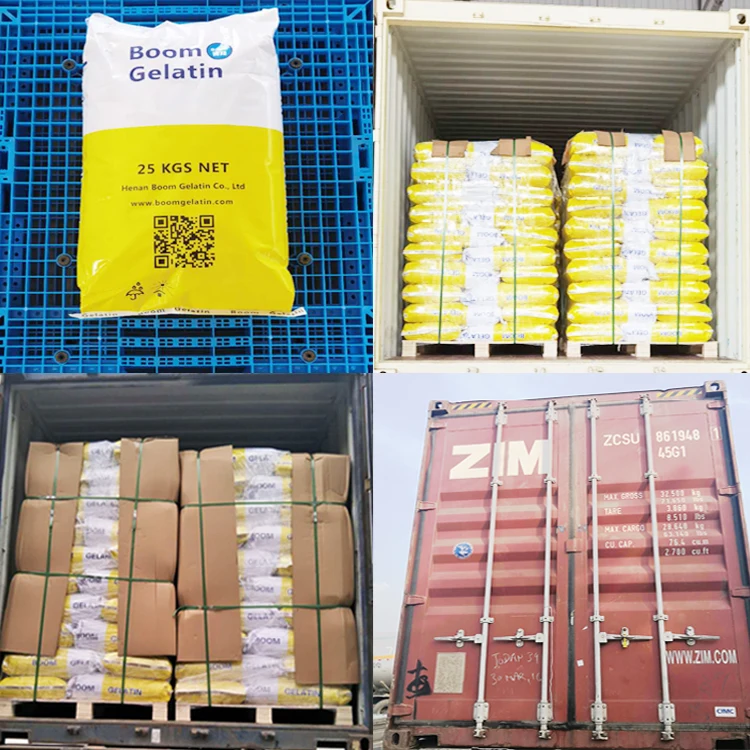 
180~250 Bloom Softgel and Empty Hard Capsule Pharmaceutical Gelatin 