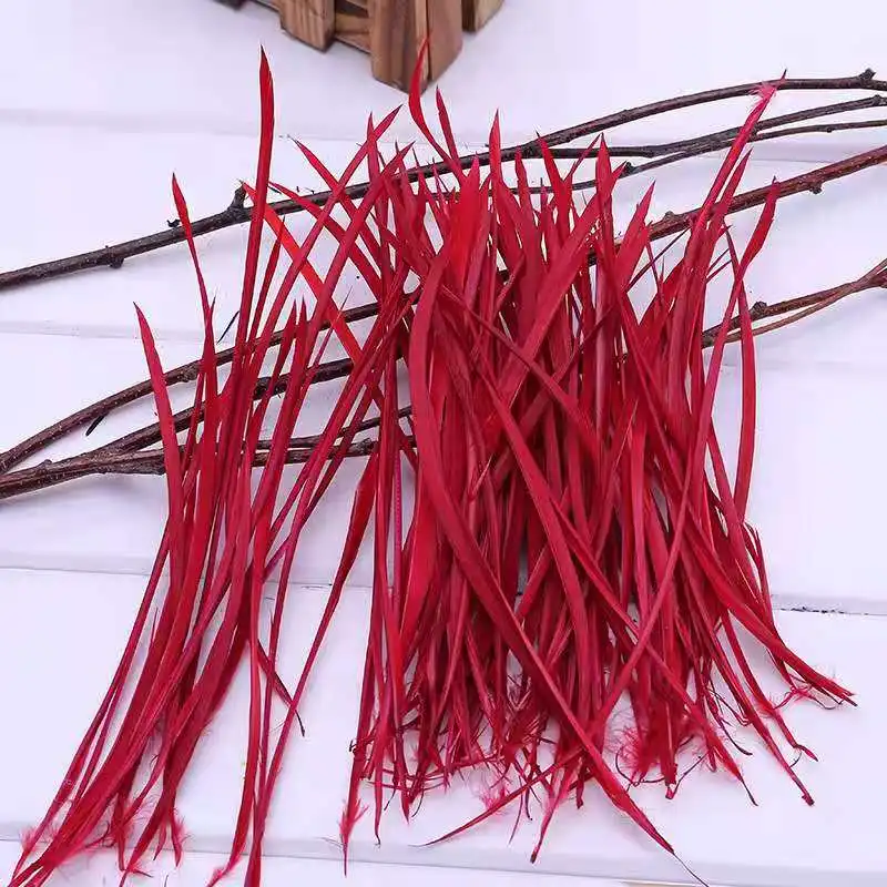 Wholesale Price 12-18cm Dyed Color DIY Loose Stripped Goose Biot Feathers Garments Dresses for Crafts Costume Decoration