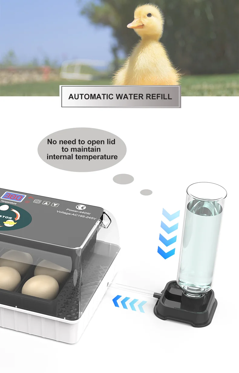 HHD Promotion Transparent Egg Incubator 12 Reptile Egg Incubator Hatching Machine In Germany
