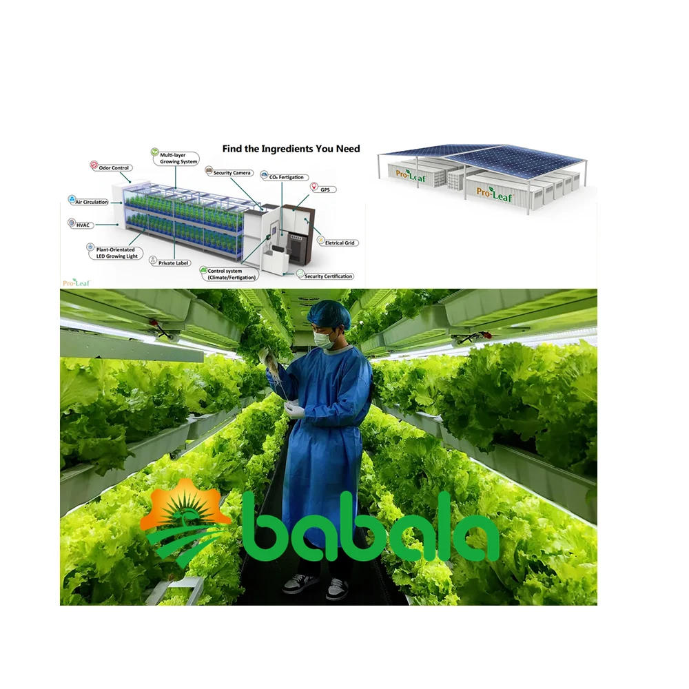 Завод Pro-Leaf, Заводская доставка, контейнеры, 40 футов для микрозеленого/салата/CB-D шкафа gorw, гидропонный грузовой контейнер