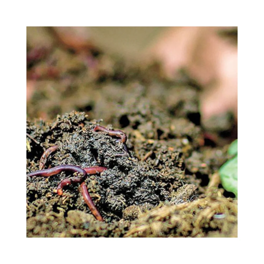 Good quality Vermicompost Bio-Organic Fertilizer use for Soil Conditioner