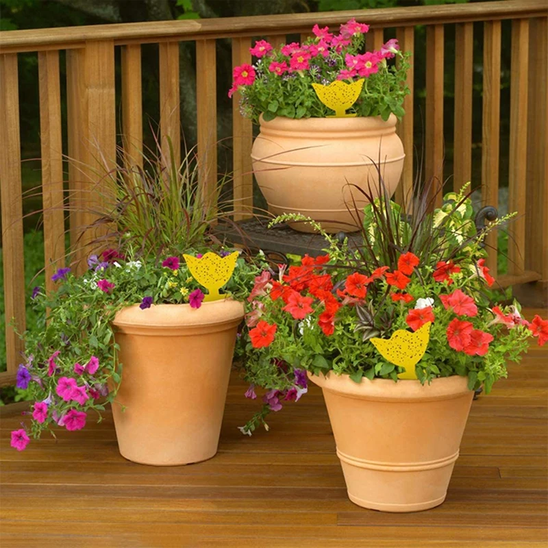 Sticky Traps  (10).jpg