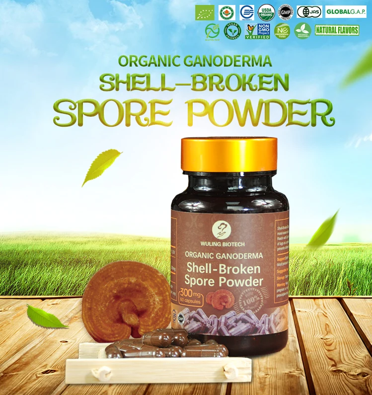Reishi shell-broken spore Extract ganoderma lucidum wall-broken spore powder capsules 100%pure healthy supplement