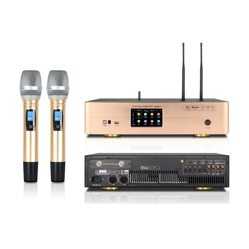 3 в 1 Многофункциональный микрофон для караоке усилитель DSP цифровой спереди этап ревербератор профессиональная акустическая система