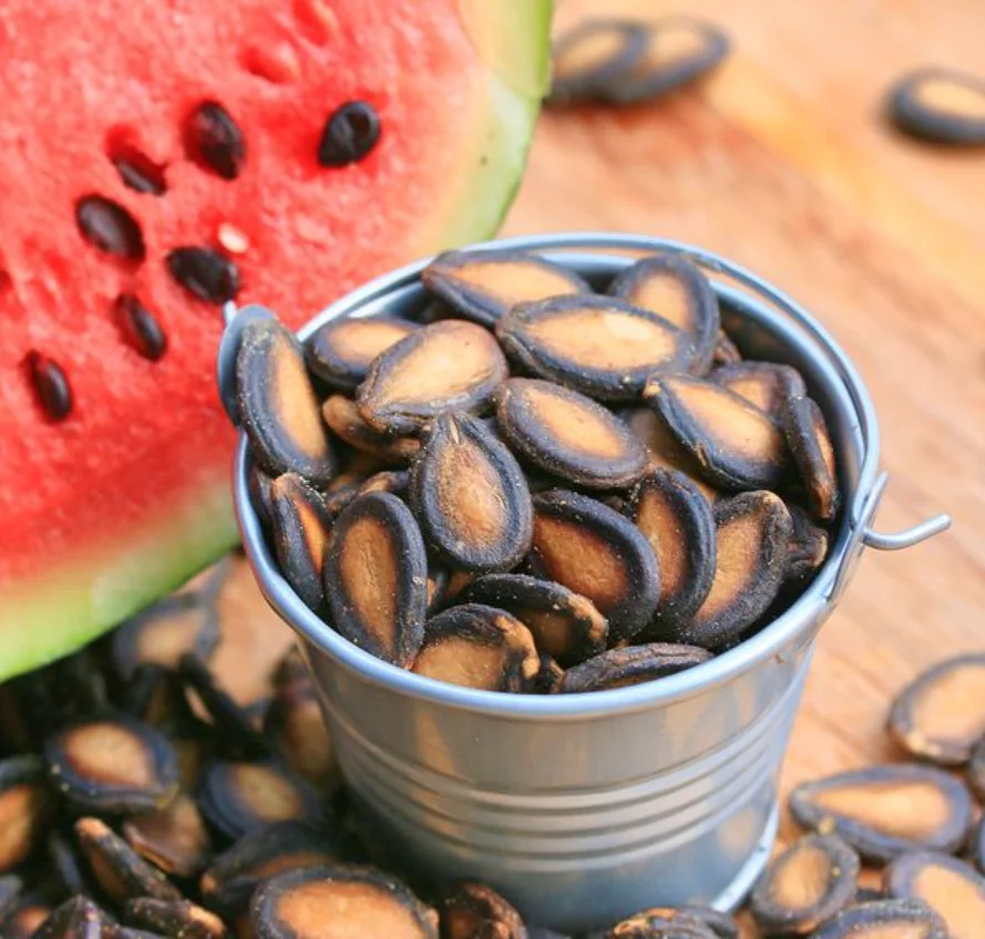 Best Price Watermelon Seeds Dried Style From Professional Chinese Supplier Wholesale