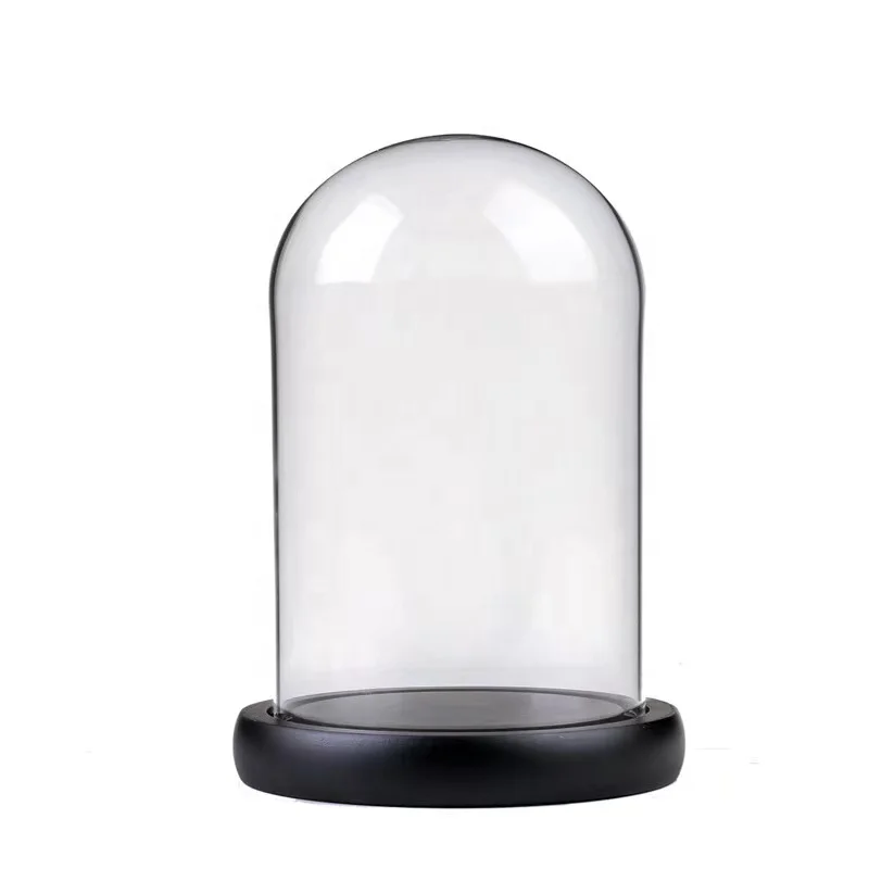 Small Glass Dome Tent Bell Jar with Black Base for 	 Preserved Flowers