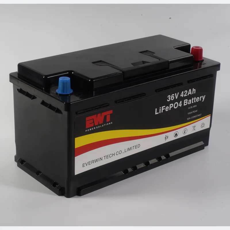 Dustproof and Waterproof 36V 42Ah Lithium LifePo4 Battery Pack Supply RV Power Equipment