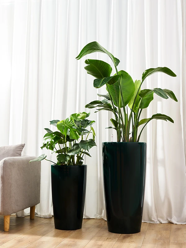 Factory Price Wholesale Large Size Plastic Cylinder Luxury Style Vertical PP Garden Pots & Planters for Flower Plants