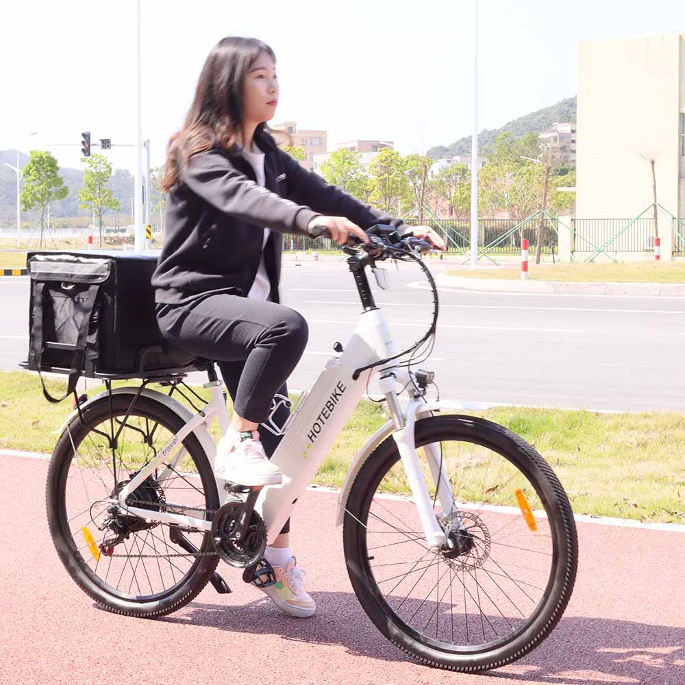 New city electric bike A5AH26 48v 750 watt electric cargo bike 26inch fashion electric family cargo bikes