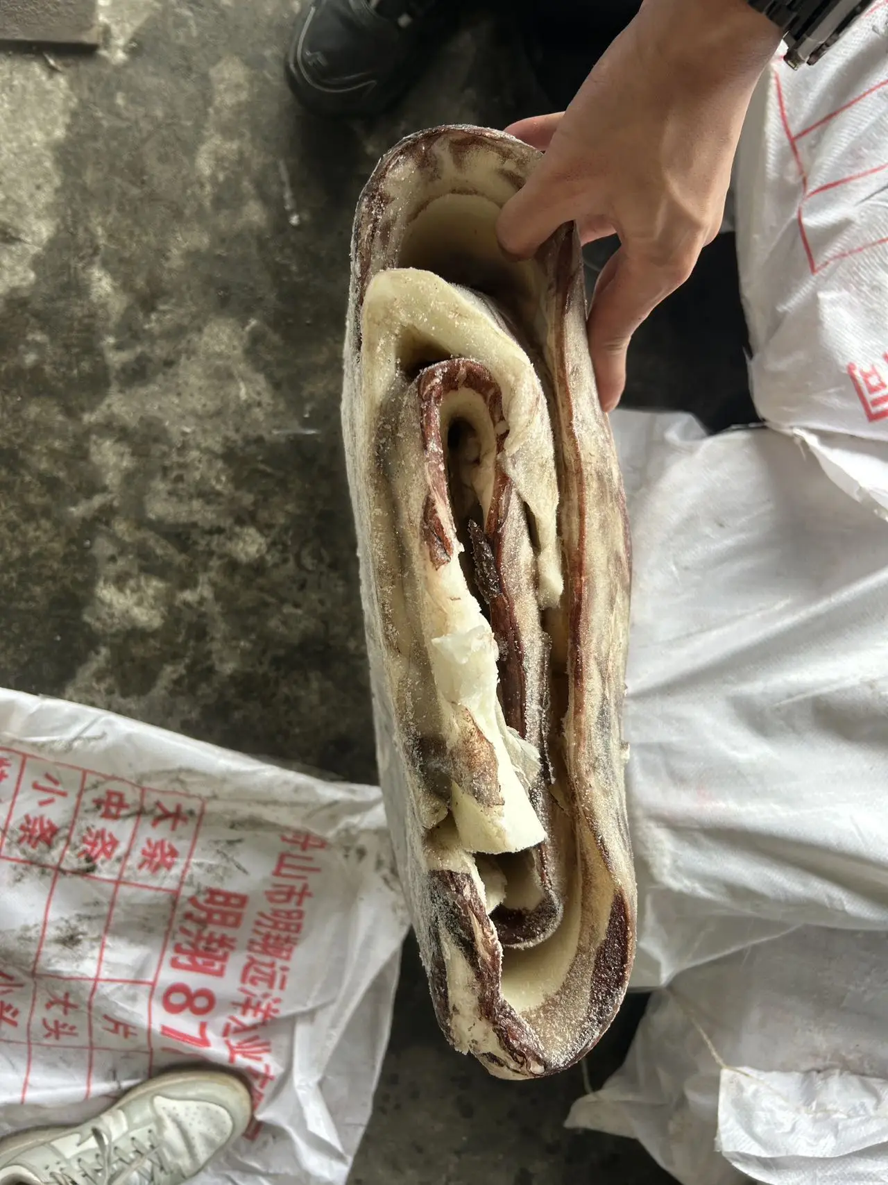 Giant Squid Fillet squid fillet Skin on Peru squid dosidicus gigas  fillet With skin